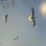 Playlist 2 Image